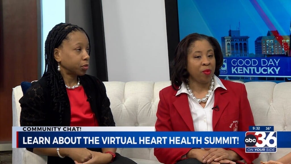 Delta Sigma Theta Sorority's Micean Johnikin And Dawn Offut Invite You To Learn About The Virtual Heart Health Summit