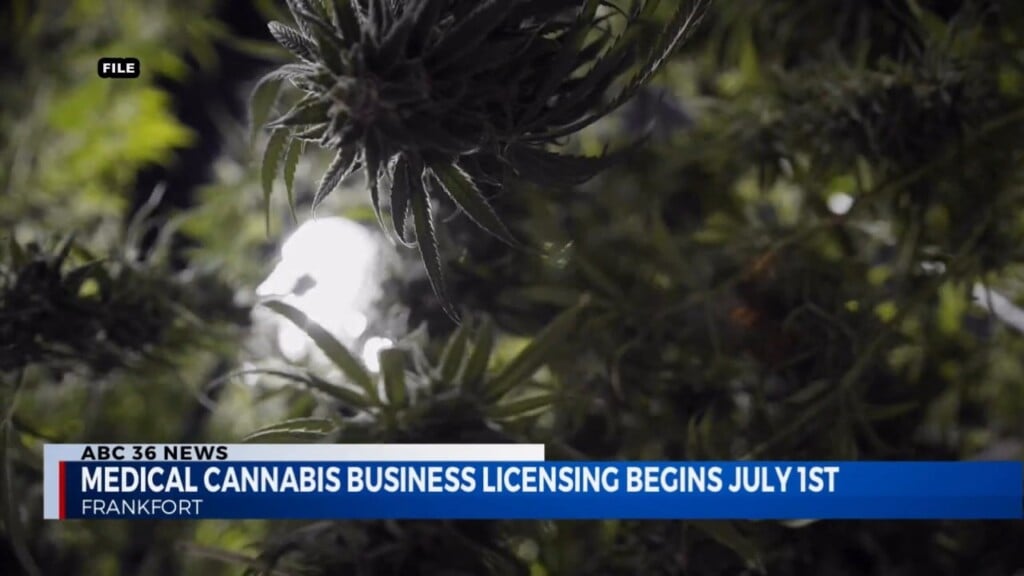Medical Cannabis Business Licensing Begins July 1st 041824