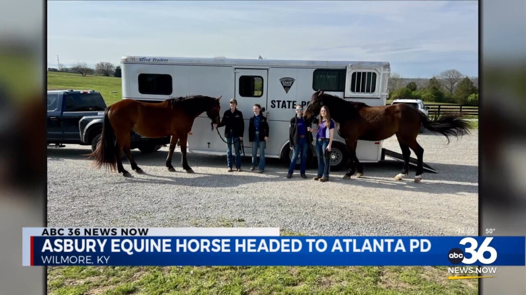 Asbury University Equine Students Train Horses To Be Mounts For The Atlanta Police Department And Around The Country