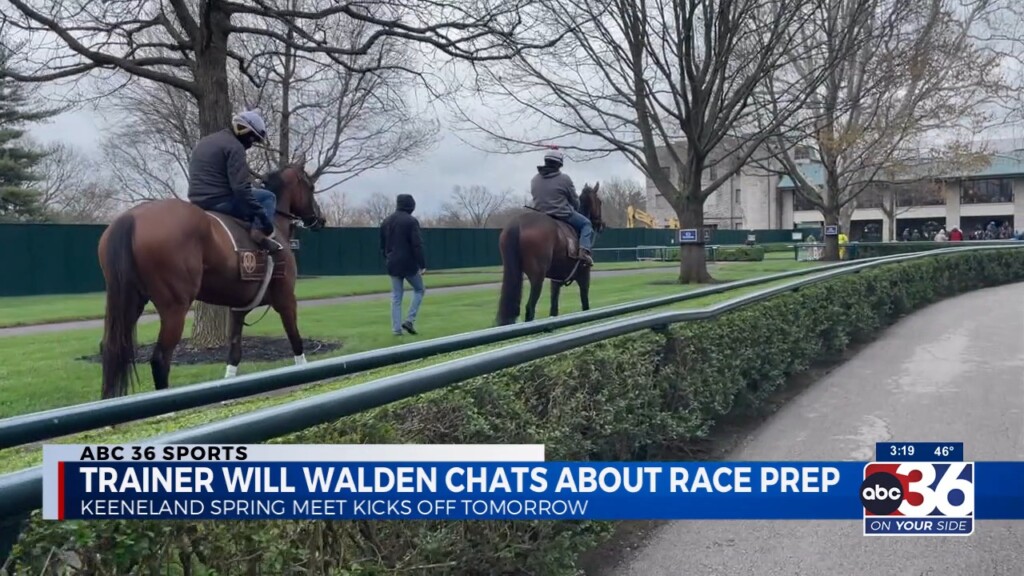 Professional Horse Trainer Talks About Race Day Preparation