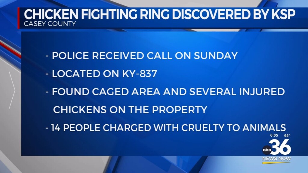 Chicken Fighting Ring Discovered By Ksp In Casey County
