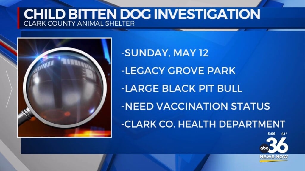 Child Bitten By A Dog In Clark County