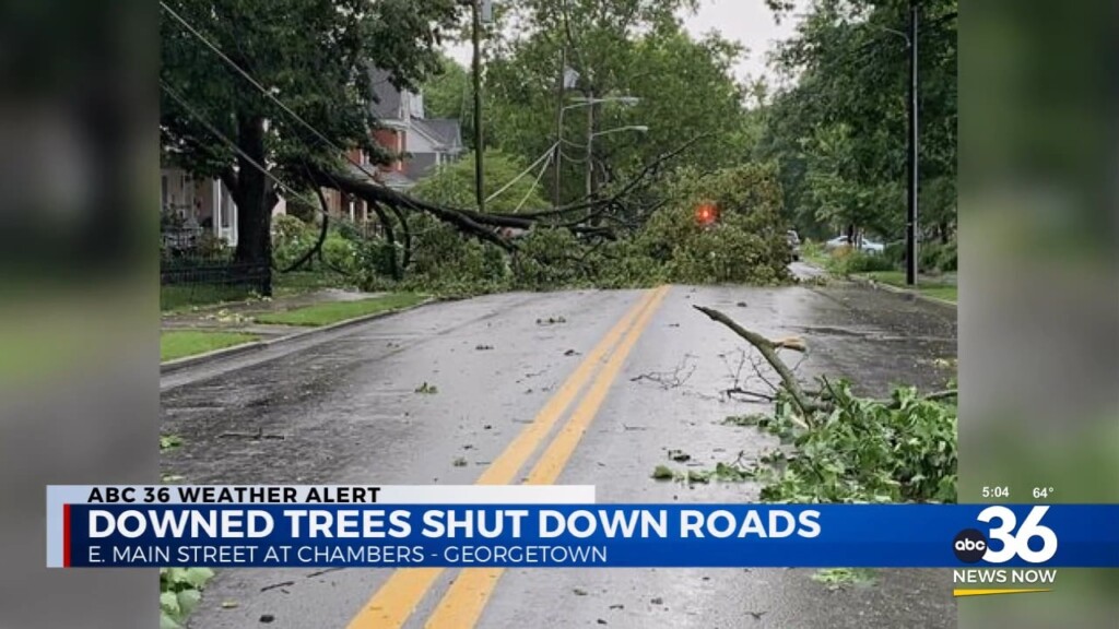 Georgetown Reports Downed Trees Shut Down Roads