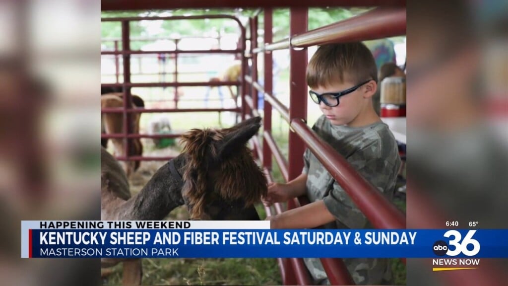 Kentucky Sheep And Fiber Festival On Saturday And Sunday At Masterson Station Park