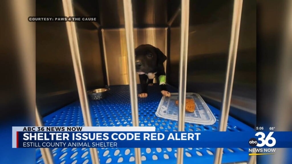 Shelter Issues Code Red Alert In Estill County