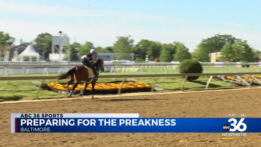 Preparing For The Preakness Live Update With Jeff Piecoro And Forrest Tucker
