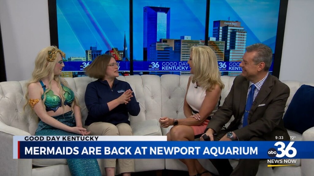 Mermaids Are Back At Newport Aquarium!