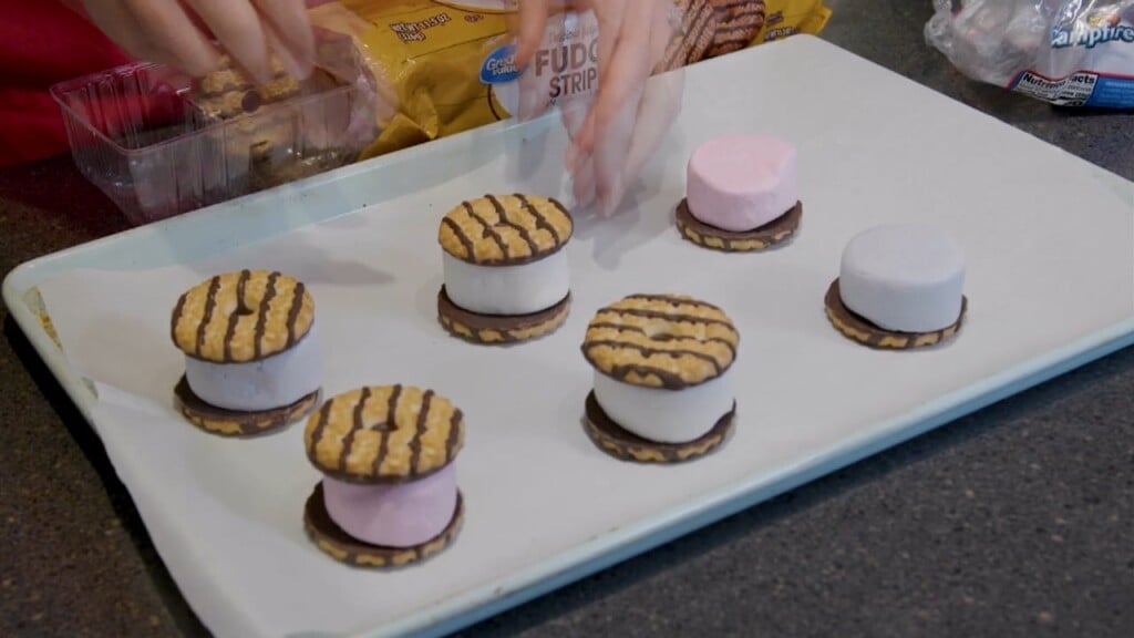 Mom To Mom's Mandy Williamson Gives Us A Twist With Fudge Stripe Smores!