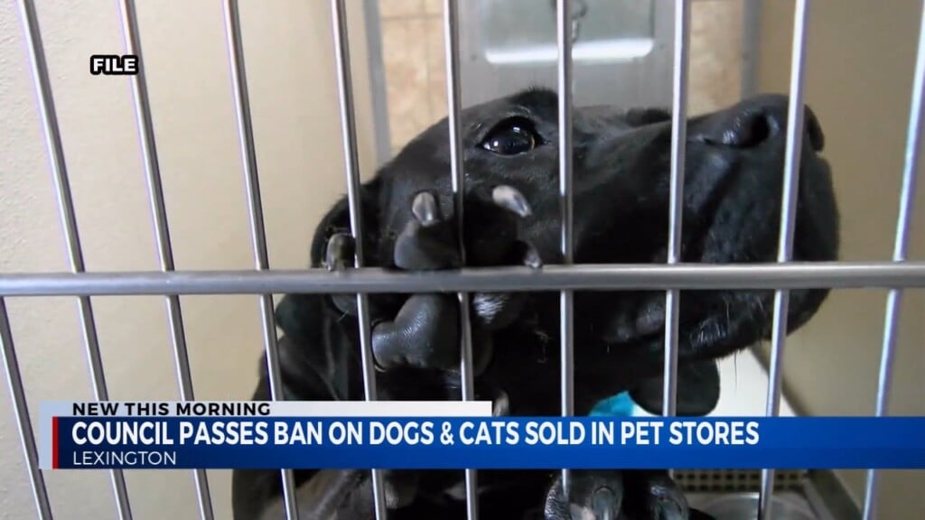 Council Passes Ban On Dogs And Cats Sold In Pet Stores
