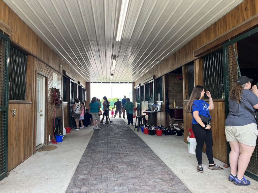 BraveHearts Equine Center Open House