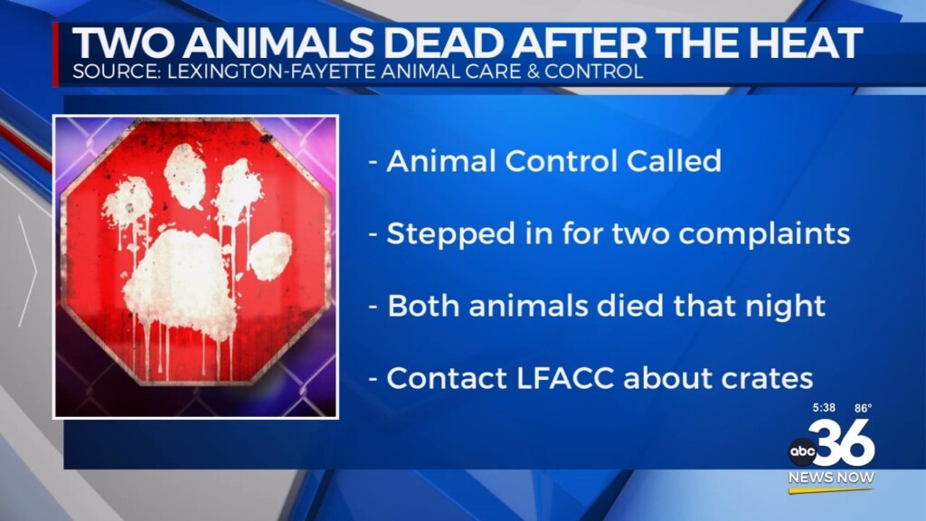 Two Animals Dead From Heat 062624