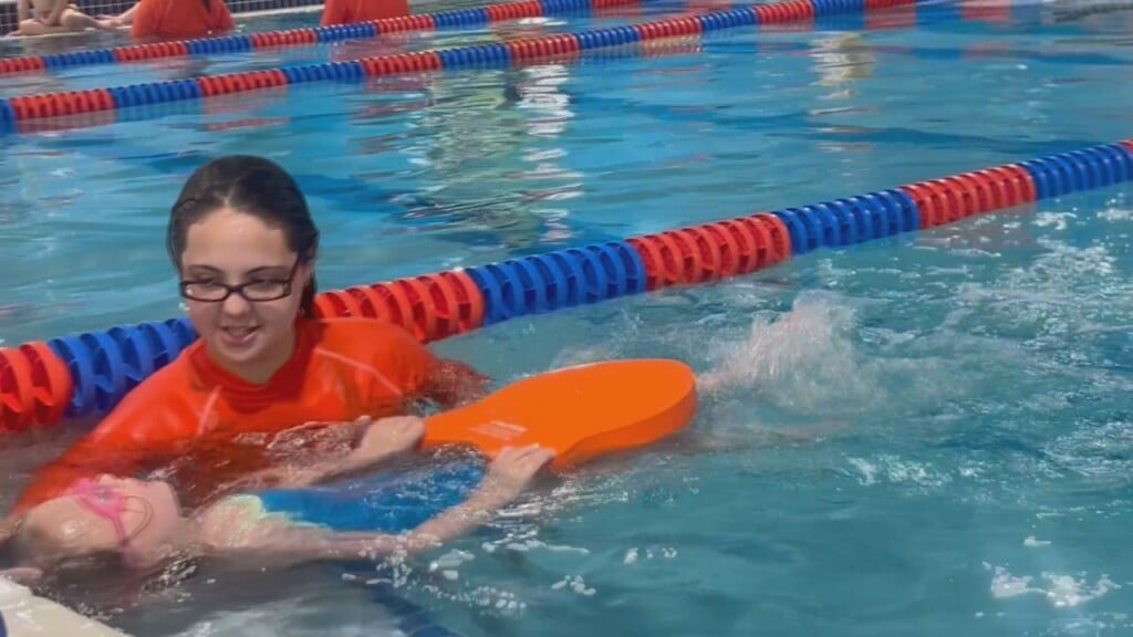 Goldfish Swim School Lessons