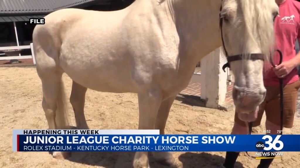 Junior League Charity Horse Show In Lexington