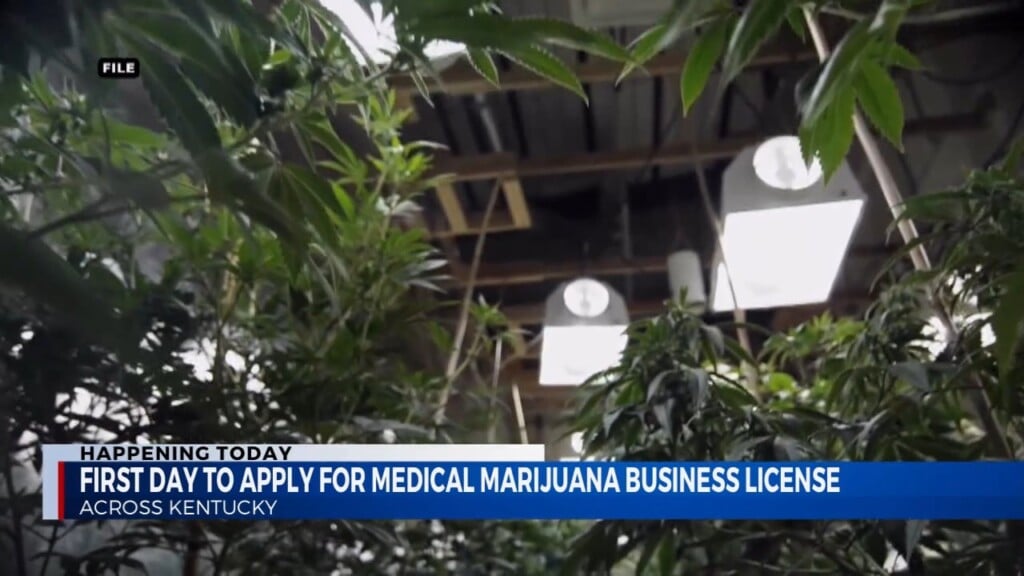 First Day To Apply For Medical Marijuana Business License In Kentucky