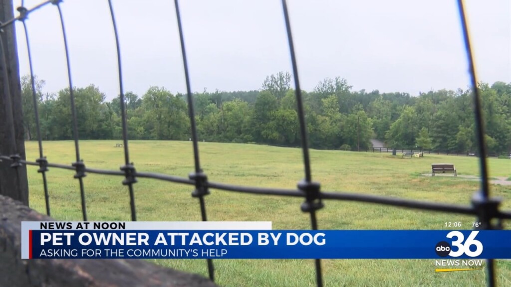 Pet Owner Attacked By Dog While Trying To Save Her Own