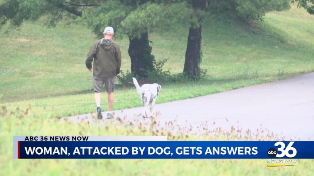 Woman Attacked By Dog Gets Some Answers