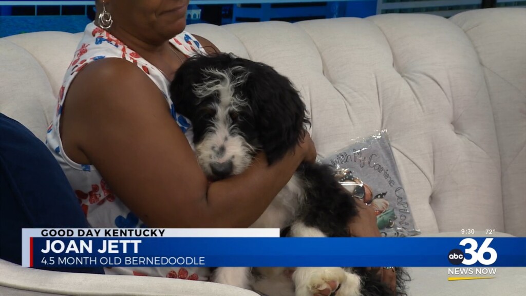 Crystal Scarce Of Fairy Tails Pet Adoptions Brings Joan Jett To Visit Us!