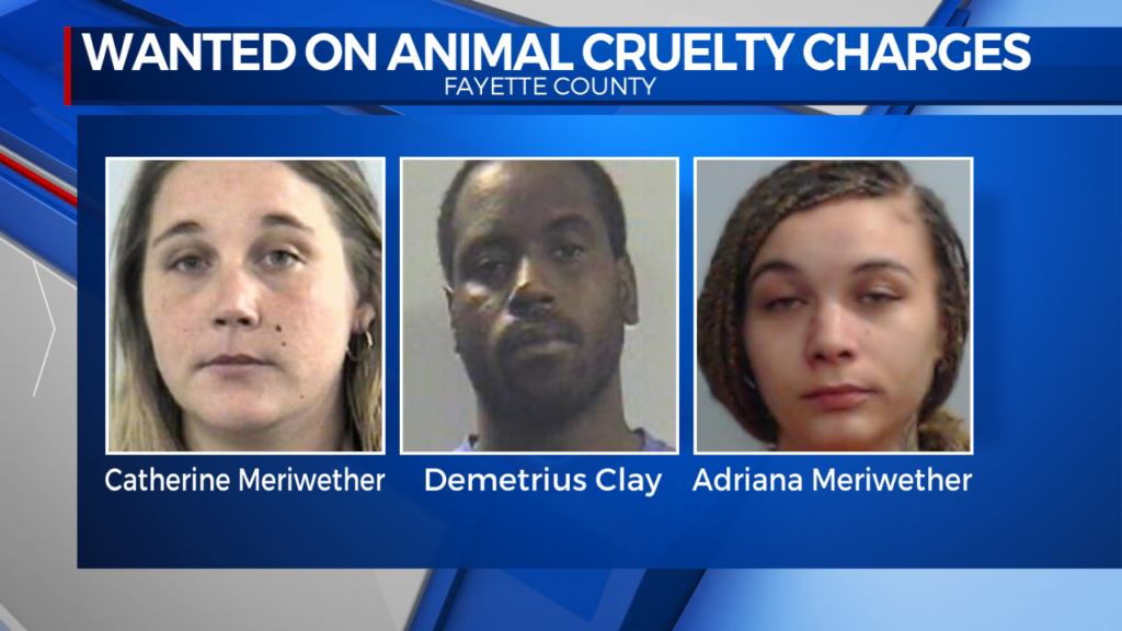Animal Cruelty