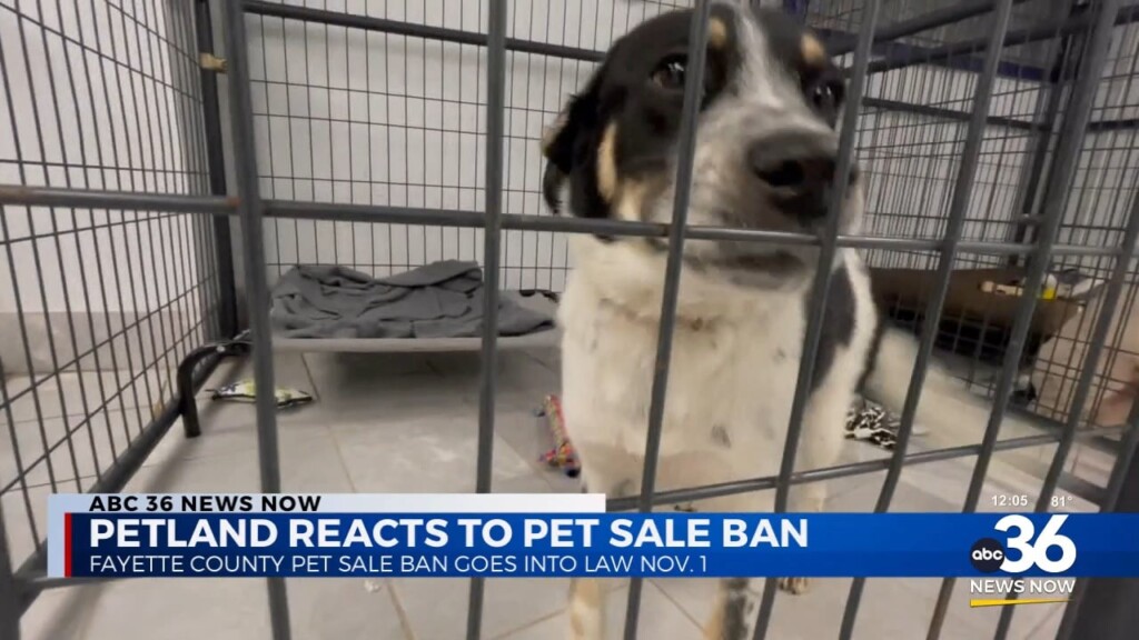 Petland Responds To Pet Sale Ban