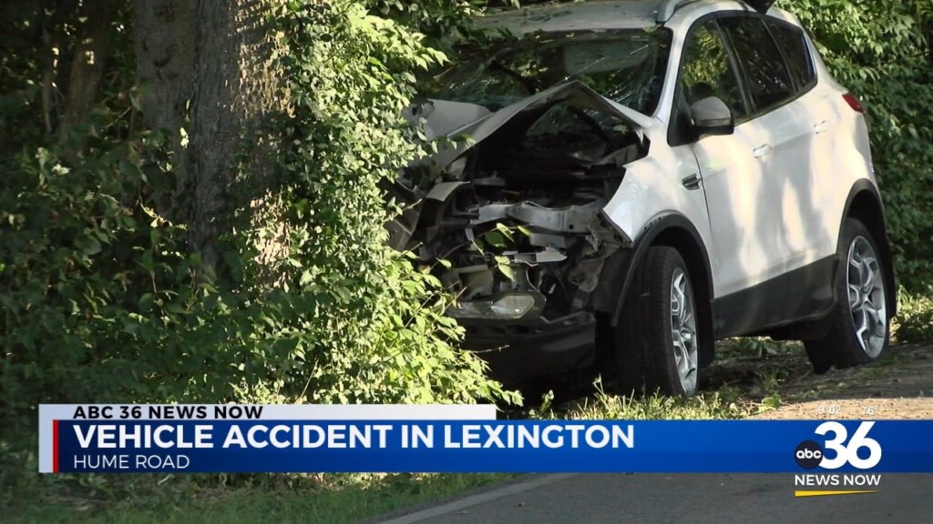 A Vehicle On Hume Road Hits A Tree With One Person Going To The Hospital