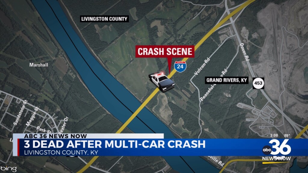 3 Dead After Multi Vehicle Crash In Livingston County 073024