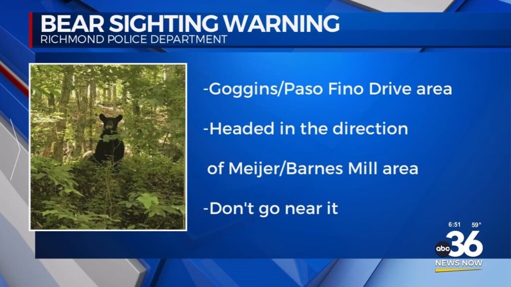 Bear Sighting Warning In Richmond