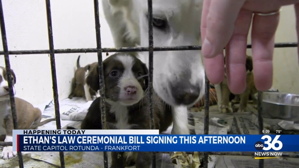Ethans Law Ceremonial Bill Signing This Afternoon