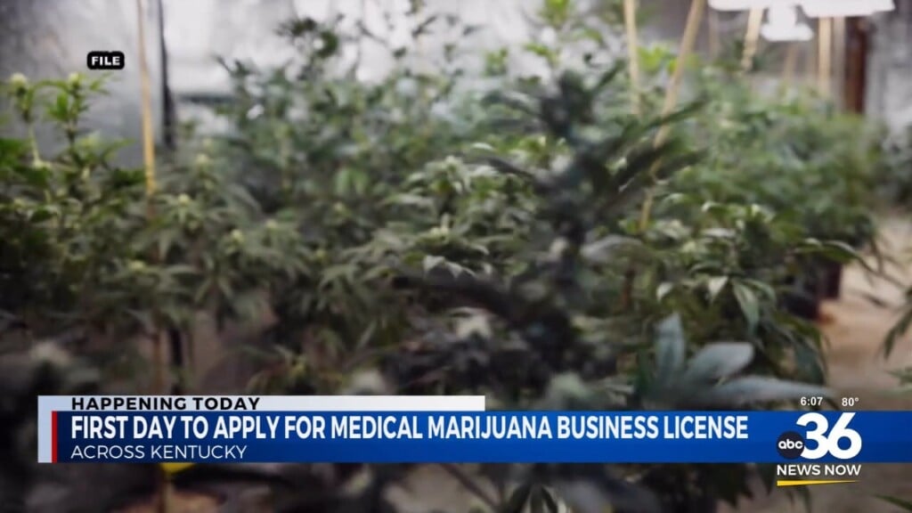 First Day To Apply For A Medical Marijuana License 070124