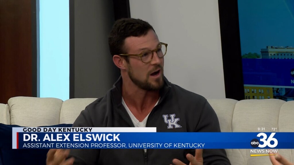Dr. Alex Elswick Talks About Youth Vaping