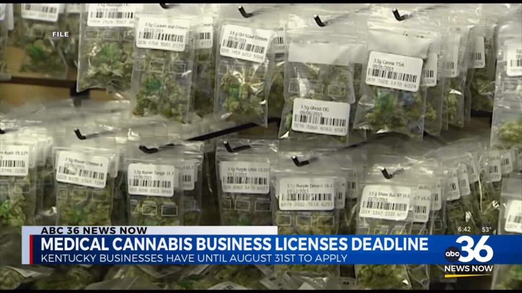 Medical Cannabis Business License Deadline