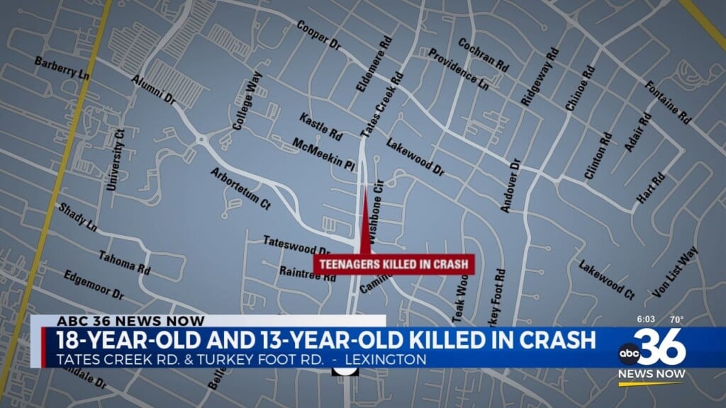 18 Year Old And 13 Year Old Killed In Crash In Lexington
