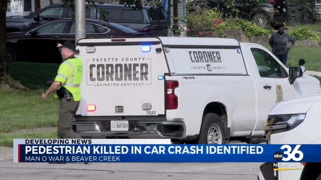 Pedestrian Killed In Car Crash Identified