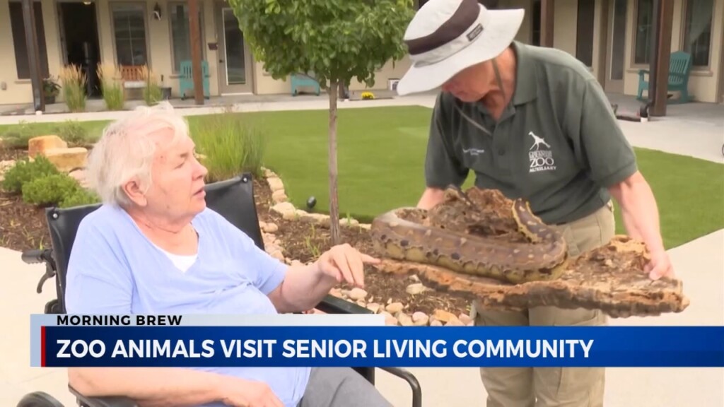 Morning Brew: Zoo Animals At Senior Living And Biggby Coffee Winner Breanna Howard Of Lexington