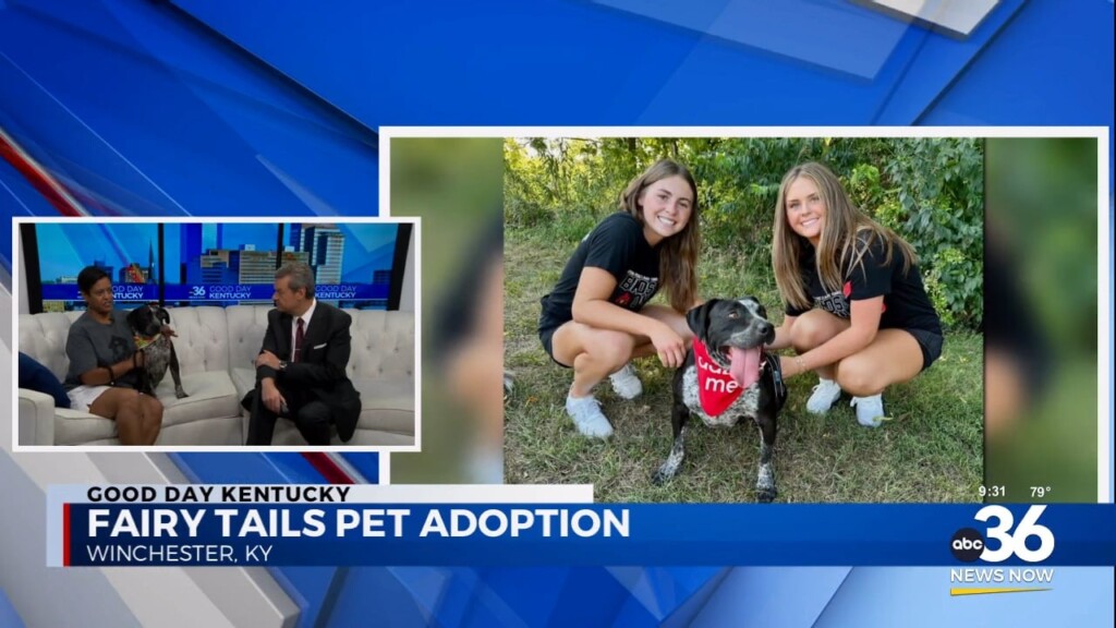 Fairy Tails Pet Adoption's Crystal Scearce Brings Mac The Bull Terrier