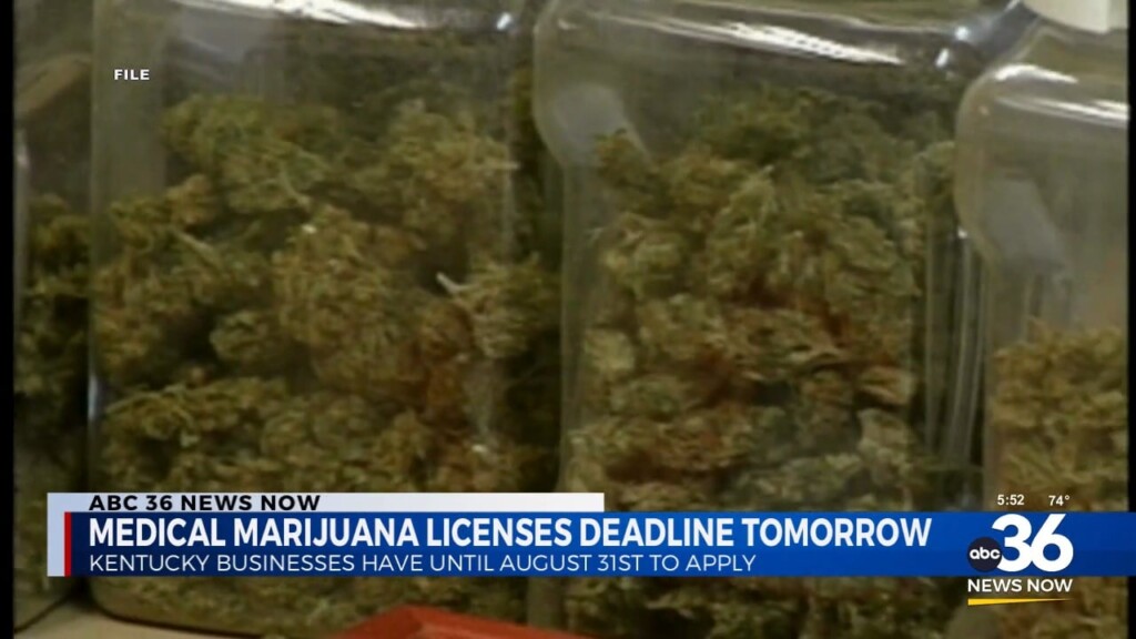 The Deadline For Businesses To Apply For A Medical Cannabis License Is Tomorrow