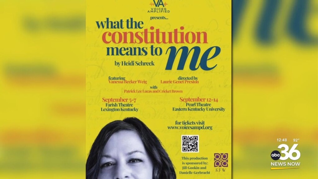 What The Constitution Means To Me