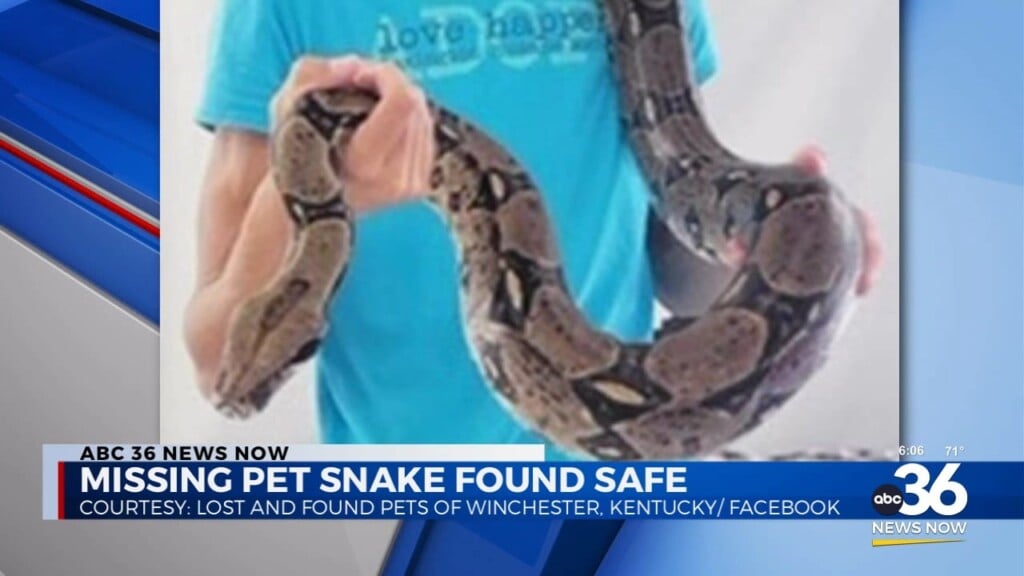 Missing Pet Snake Found Safe In Lexington