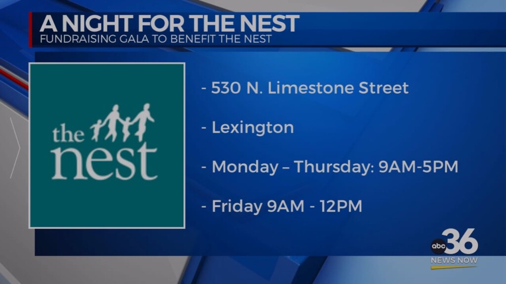 The Nest