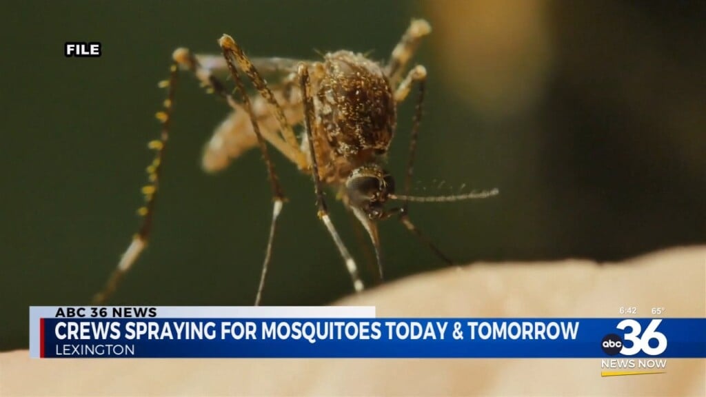 Crews In Lexington Will Be Spraying For Mosquitoes Today