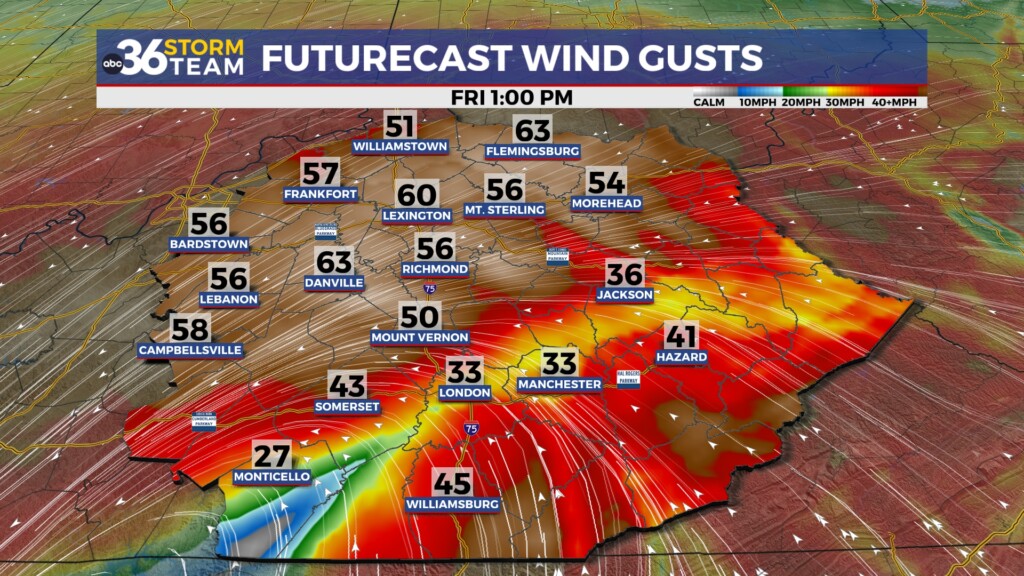 Helene to bring strong wind gusts and heavy rain Friday - WTVQ