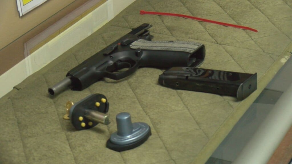 Gun Safety