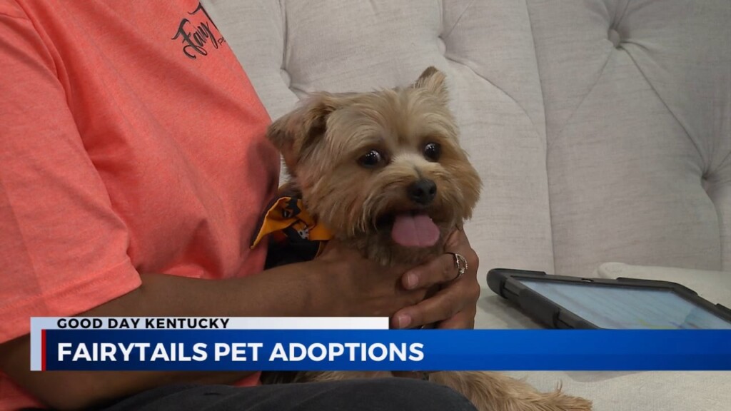 Fairy Tails Brings Sparky To Visit