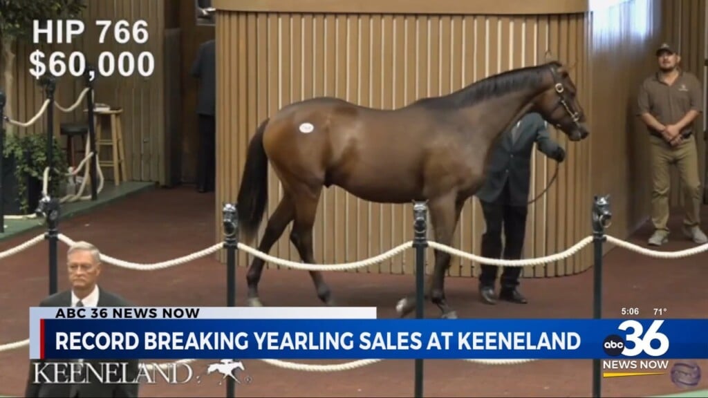 Recordbreaking yearling sales at Keeneland WTVQ