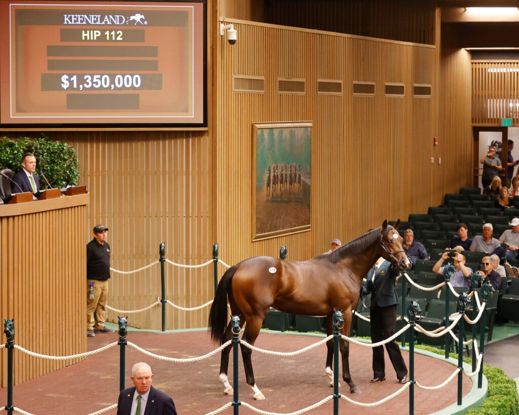 2024 Keeneland September Sale