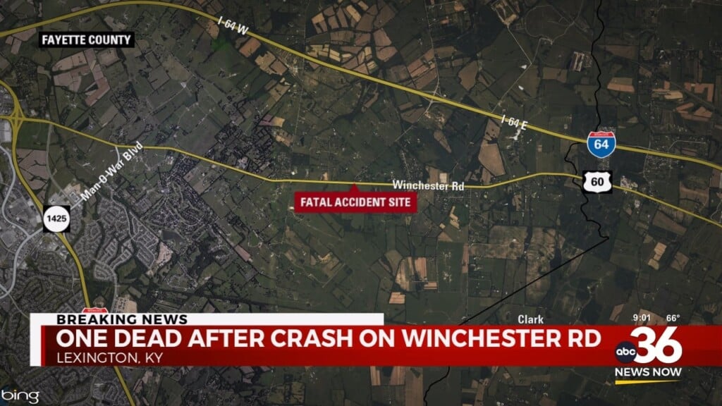 One Dead In Winchester Road Crash