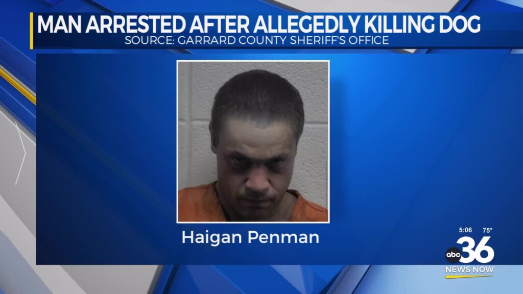 Man Arrested After Allegedly Killing Dog