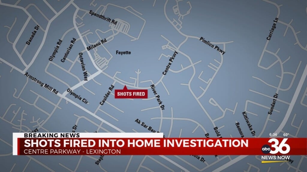 An Investigation After Shots Fired Into A Home