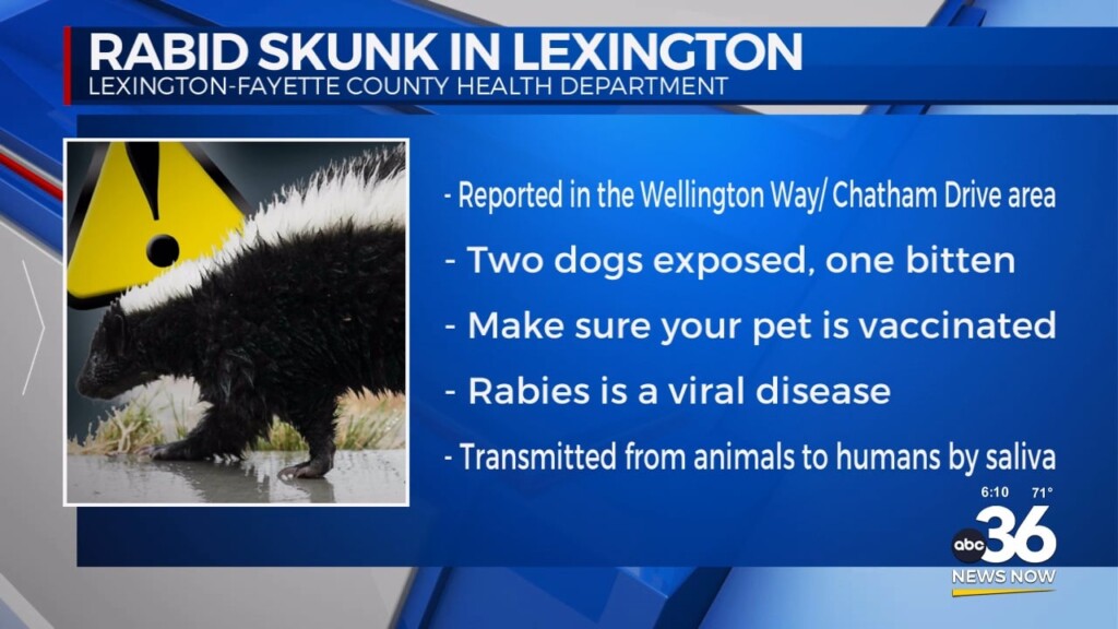 Rabid Skunk Discovered In Lexington 102824