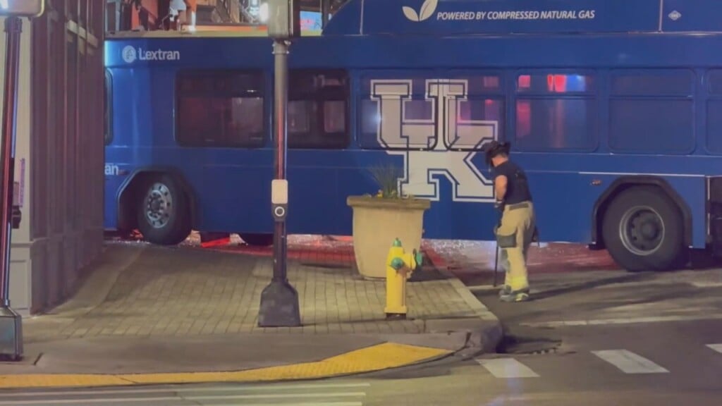 Bus