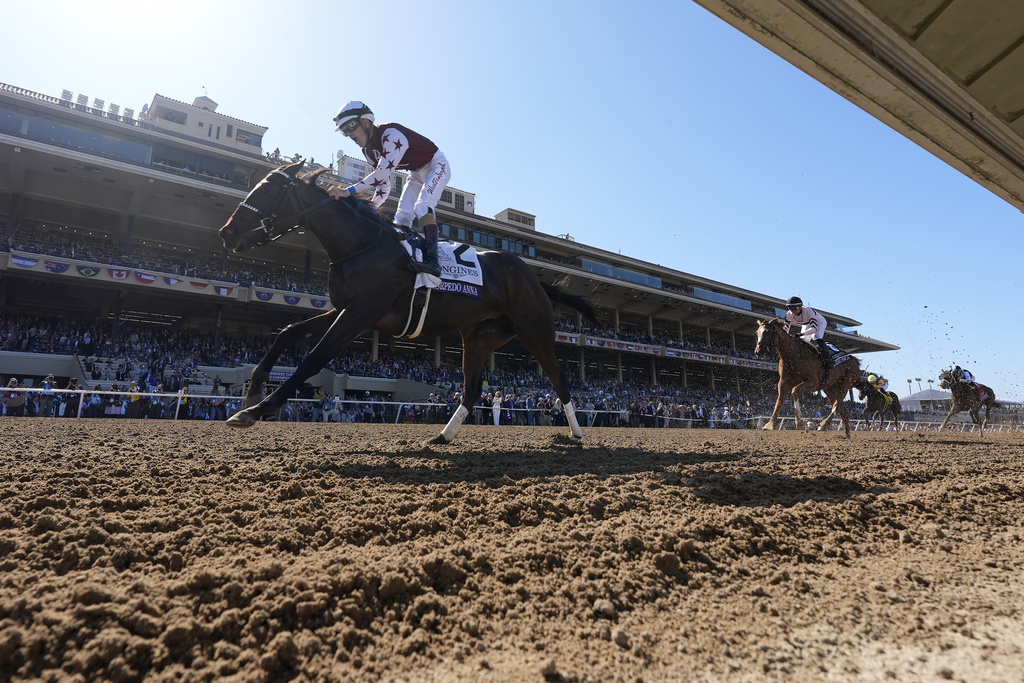 Breeders Cup Distaff Horse Racing